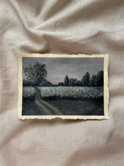 landscape study #4 - meadow's whisper