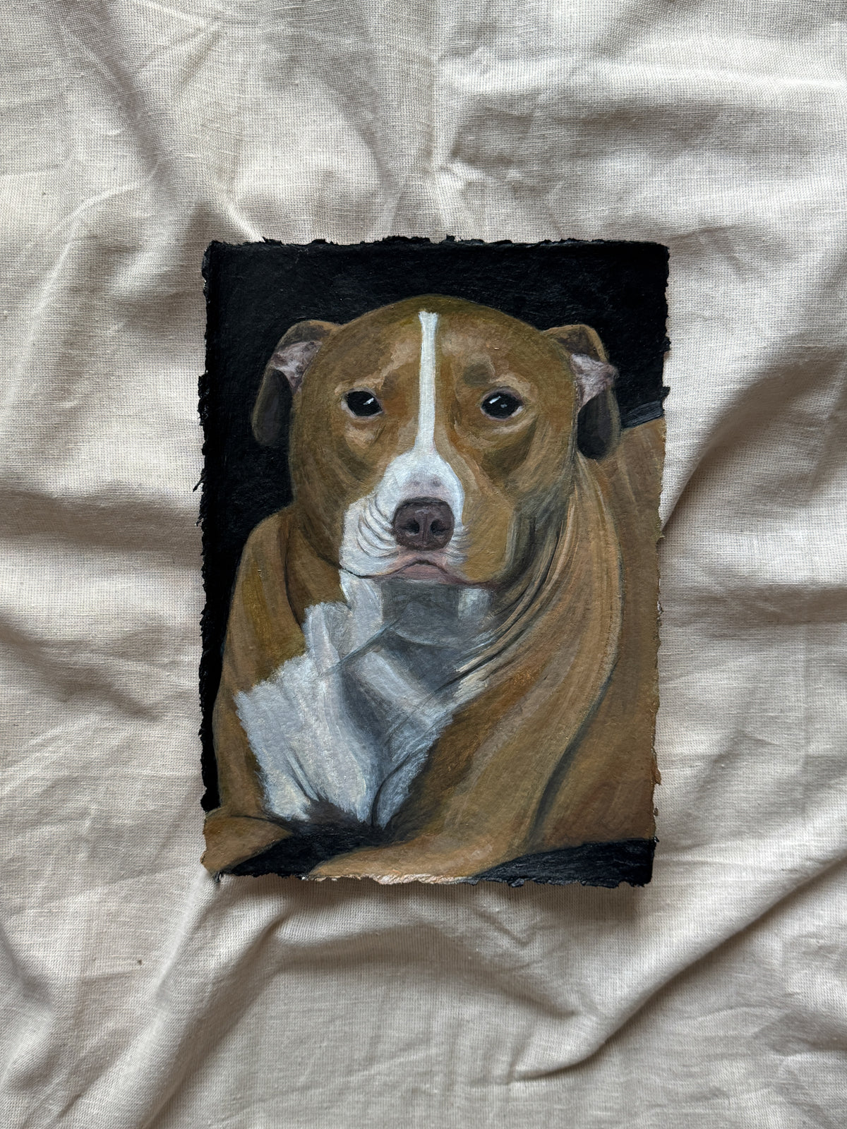 day 16/31 - bailey