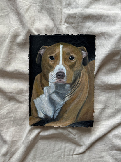day 16/31 - bailey