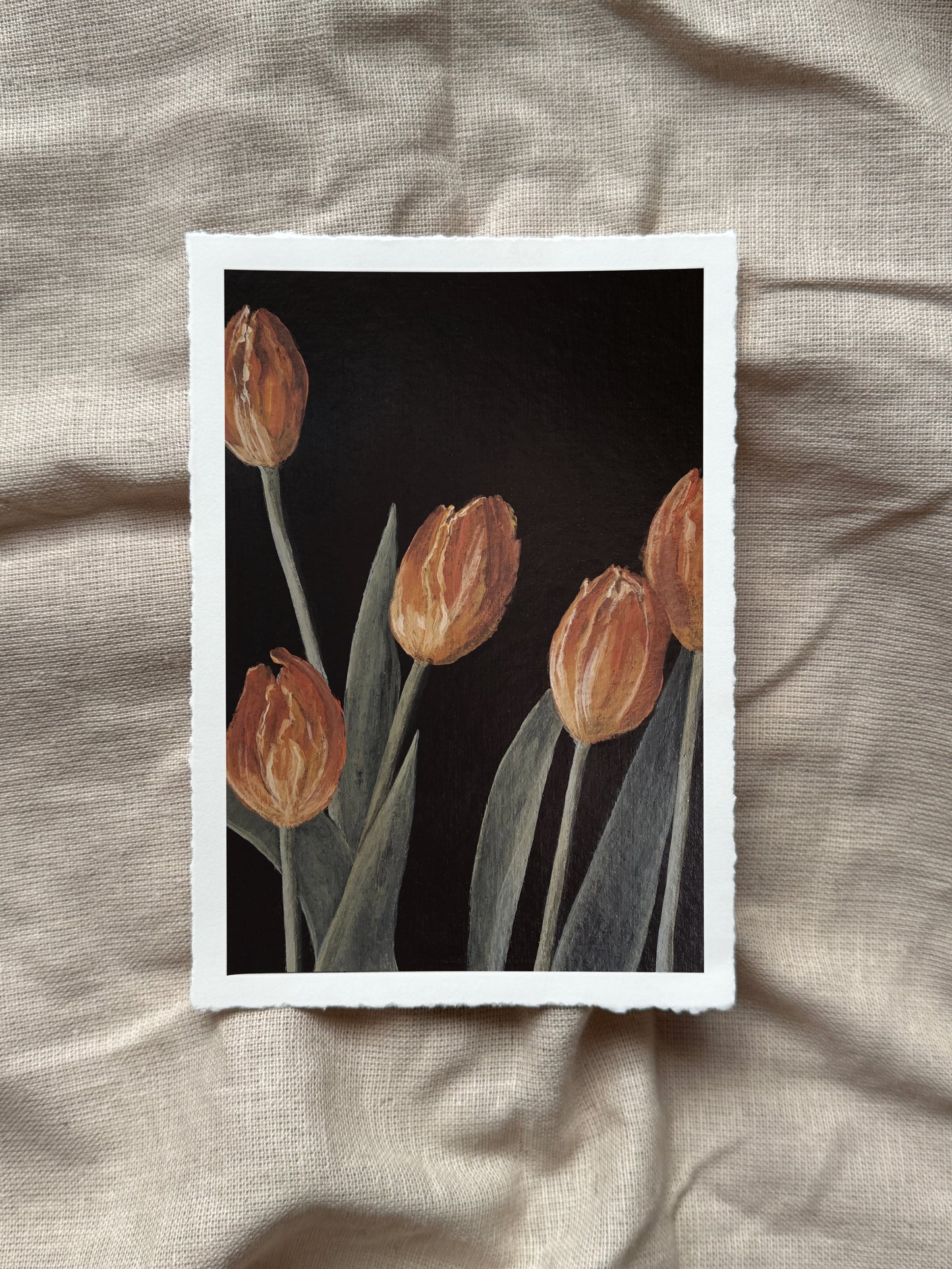 tulips for may print (with deckled edge)