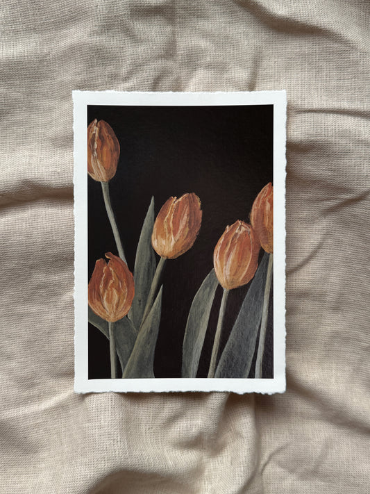 tulips for may print (with deckled edge)