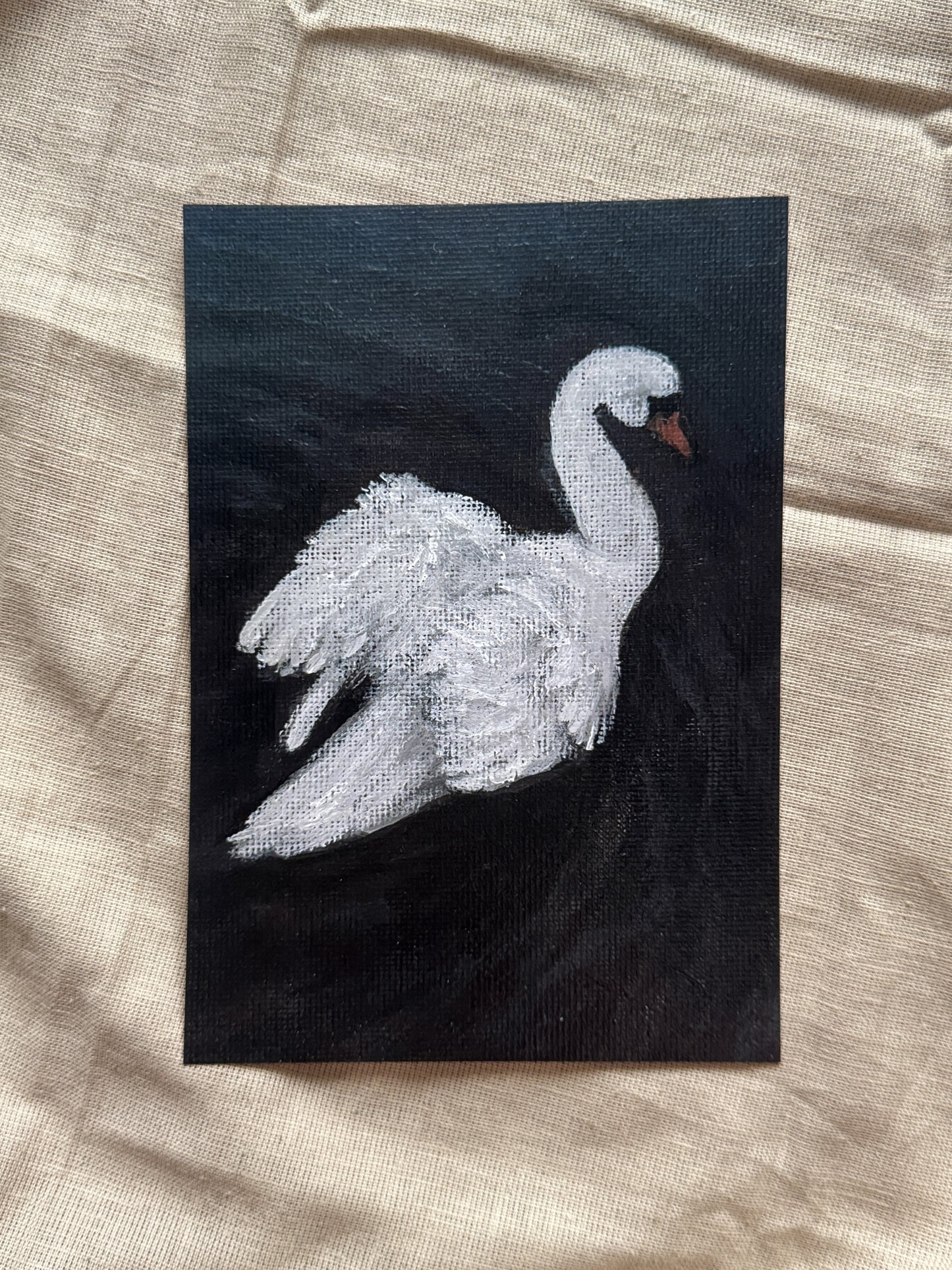 swan on still water (print)