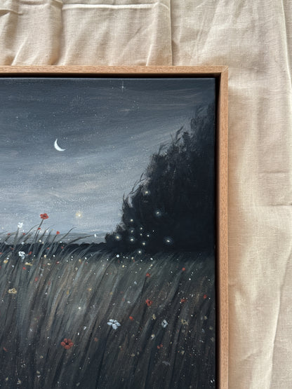 where fireflies dance