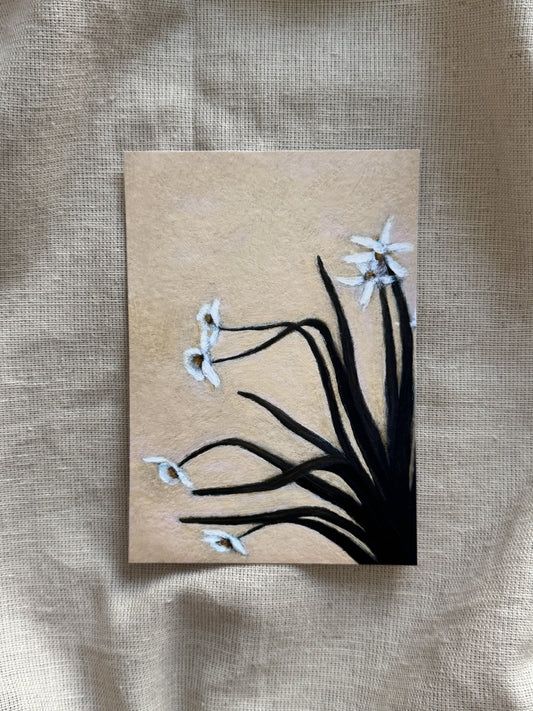 feb26 where soft things begin