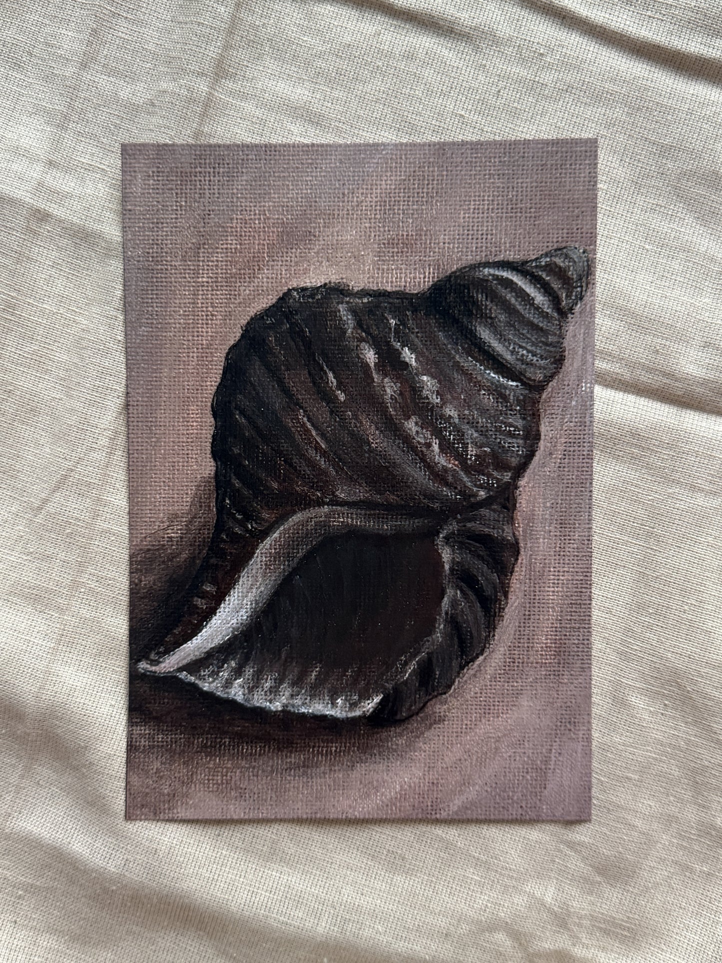 song of the seashell (print)