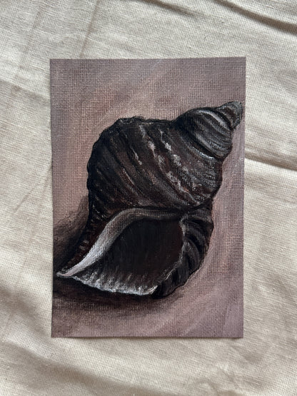 song of the seashell (print)