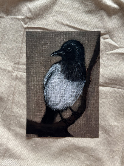a magpie's watch (print)