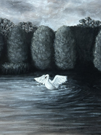 where the water listens