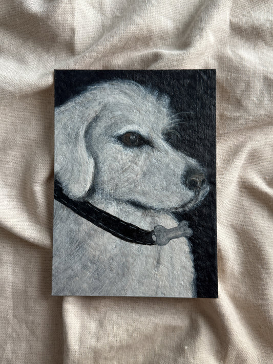 pet portrait