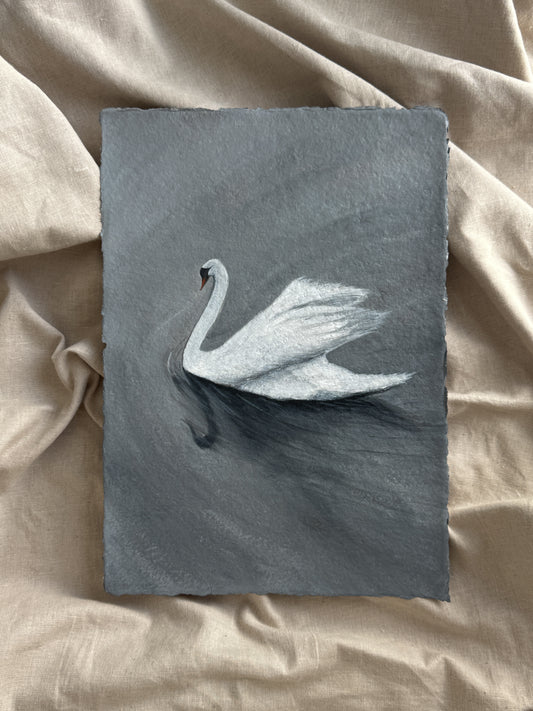 swan no.1