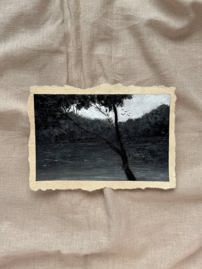 landscape study #12 - resting spot