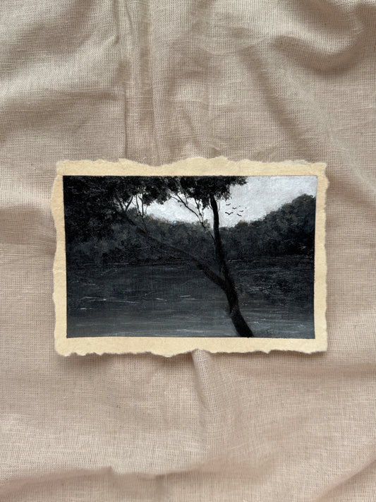 landscape study #12 - resting spot