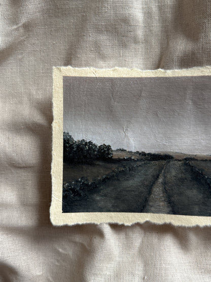 horizon of solace