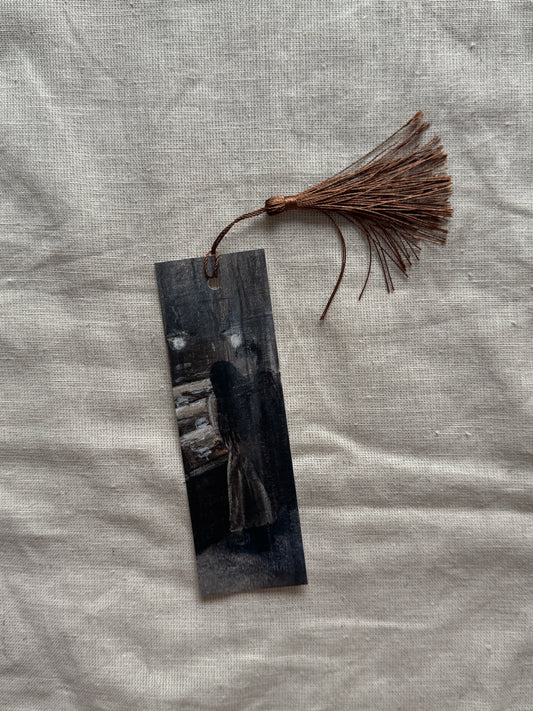 through the frosted window v1 (bookmark)