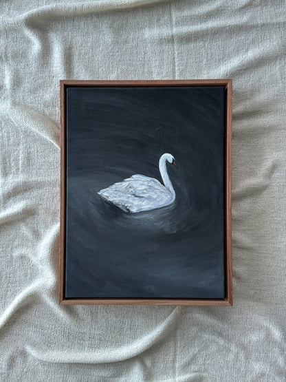 untitled v
