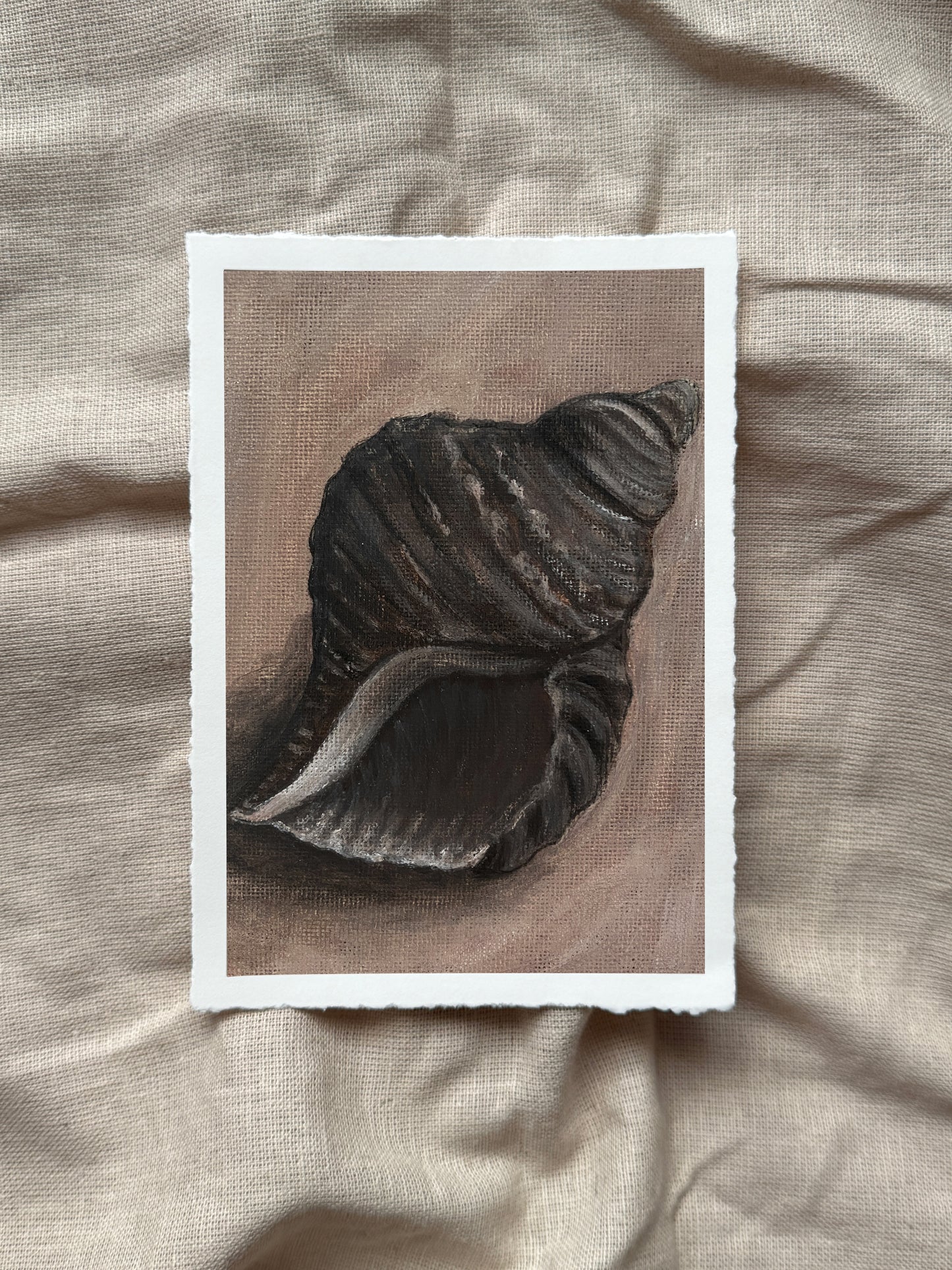 song of the seashell print (with deckled edge)