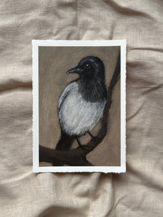 a magpie's watch print (with deckled edge)