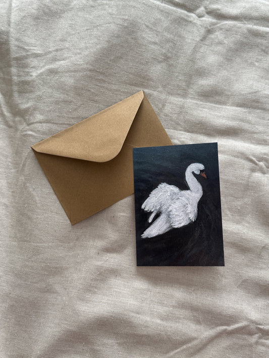 swan on still water (greeting card)